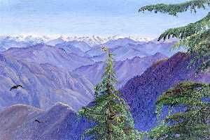 Marianne North - From Nahl Dehra near Simla (Shimla), Himachal Pradesh, India