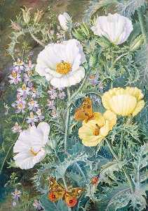 Marianne North - Mexican Poppies, Chilian Schizanthus and Insects