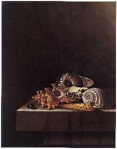 After Adriaen Coorte - English Still Life with Shells