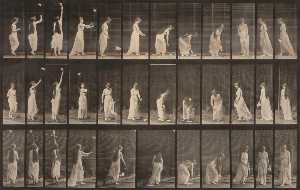 Eadweard Muybridge - Woman Throwing Handkerchief in Air, Picking It Up, from the book Animal Locomotion
