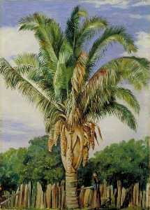 Marianne North - Indian Palm at Sette, Lagoa, Brazil