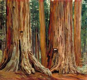 Marianne North - -Castor and Pollux- in the Calaveras Grove of Big Trees, California