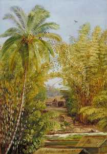Marianne North - Bamboos and Cocoanut Palm