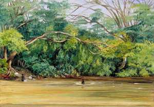 Marianne North - View of the Sandy River at Spanish Town, Jamaica