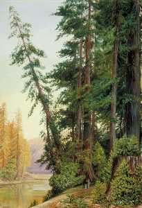 Marianne North - View in a Redwood Forest, California