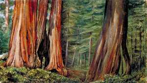Marianne North - The Mariposa Grove of Big Trees, California
