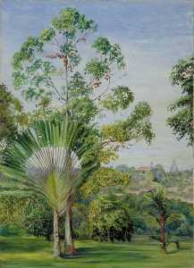Marianne North - View of the Maharajah of Johore's House from Major McNair's Garden, Singapore