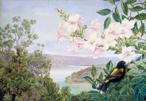 Marianne North - View on the Kowie River with Trumpet Flower in Front