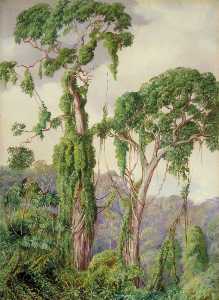 Marianne North - Yellow Wood Trees and Creepers in the Perie Bush