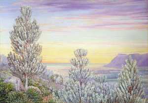 Marianne North - View from the Steps of Table Mountain through a Wood of Silver Trees