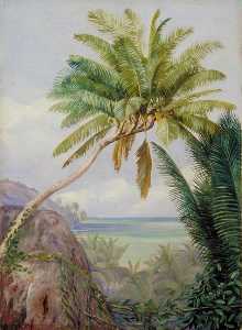 Marianne North - The Six Headed Cocoanut Palm of Mahé, Seychelles