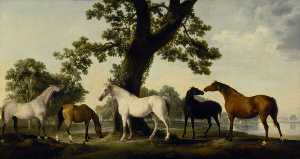 George Stubbs - Five Brood Mares at the Duke of Cumberland-s Stud Farm in Windsor Great Park