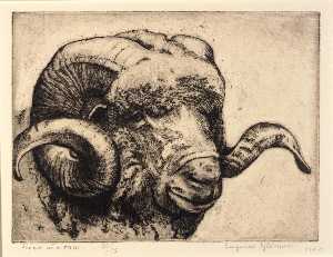 Eugenie Fish Glaman - Head of a Ram