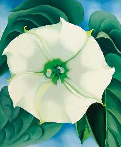 Georgia Totto O-keeffe - Jimson Weed White Flower No. 1