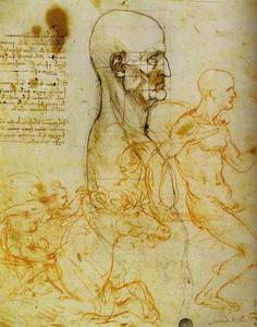 Leonardo Da Vinci - Head Measured, and Horsemen