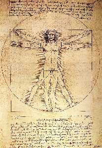 Leonardo Da Vinci - The Proportions of the Human Figure