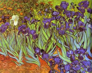 Vincent Van Gogh - Irises. Sait-Rémy