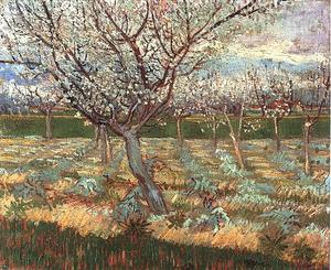 Vincent Van Gogh - Apricot Trees in Blossom 2