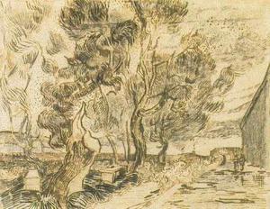 Vincent Van Gogh - Corner of the Asylum and the Garden with a Heavy, Sawn-Off Tree, A