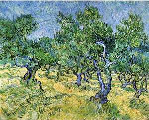 Vincent Van Gogh - Olive Grove