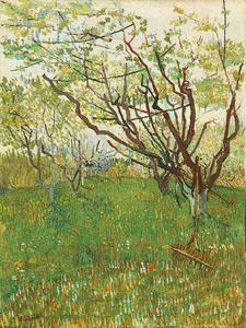 Vincent Van Gogh - Orchard in Blossom 5