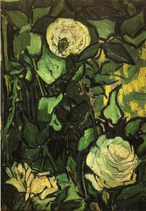 Vincent Van Gogh - Roses and Beetle