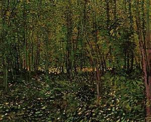 Vincent Van Gogh - Trees and Undergrowth 2 - (buy oil painting reproductions)