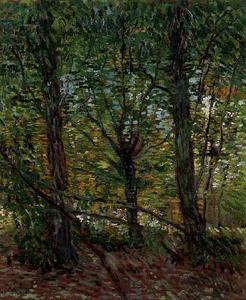 Vincent Van Gogh - Trees and Undergrowth