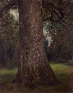 John Constable - Study of the Trunk of an Elm Tree