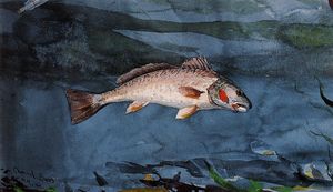 Winslow Homer - Channel Bass, Florida