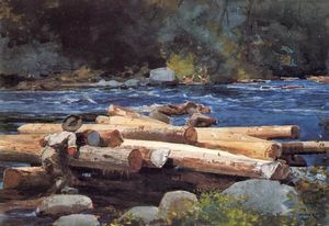 Winslow Homer - Hudson river