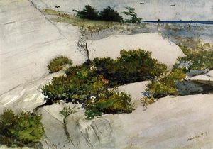 Winslow Homer - Maine Cliffs