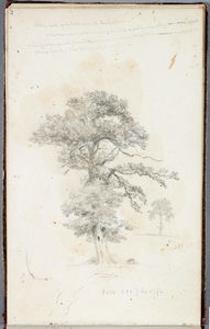 Thomas Cole - Study, Tree 7