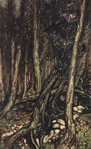Arthur Rackham - At the back of the little tonge of land, there lay a fearsome forest right perilous to traverse