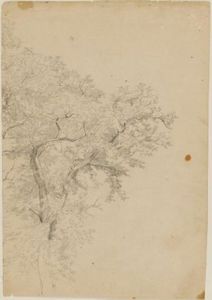 William Trost Richards - Leafy tree