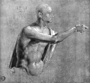 Albrecht Durer - Male Nude, Half-length