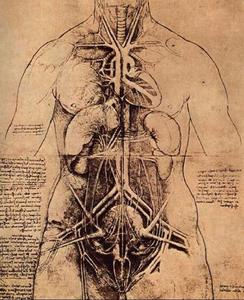 Leonardo Da Vinci - Dissection of the female body