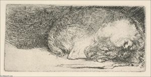 Rembrandt Van Rijn - The Little Dog Sleeping