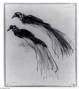 Rembrandt Van Rijn - Two Studies Of A Bird Of Paradise