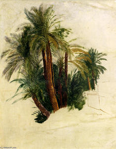 Edward Lear - Study Of Palm Trees