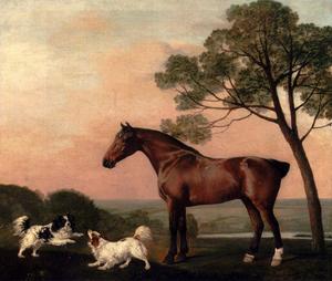 George Stubbs - A Bay Hunter With Two Spaniels