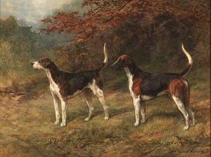 Heywood Hardy - Chorister and Norman, one couple of fox hounds beside a covert