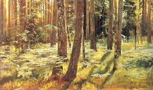 Ivan Ivanovich Shishkin - Ferms in a forest