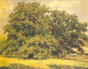 Ivan Ivanovich Shishkin - Mordvinov-s oaks
