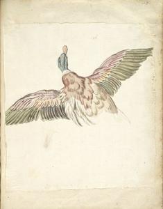 Jean-Baptiste Oudry - Duck with Wings Extended, Seen from Behind