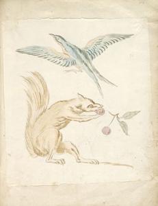 Jean-Baptiste Oudry - Squirrel Eating Cherries and Bird with Wings Extended