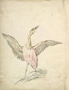 Jean-Baptiste Oudry - Standing Bird with Wings Outspread