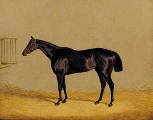 John Frederick Herring Senior - Mulatto, a dark brown racehorse in a stable