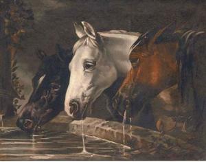 John Frederick Herring Senior - Three horses at a water trough