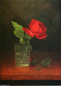 Martin Johnson Heade - A Single Rose in a Glass